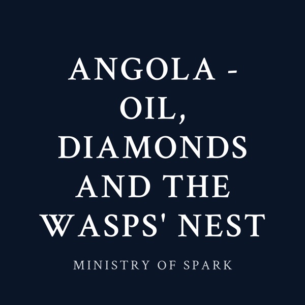 Cover of ANGOLA - OIL, DIAMONDS AND THE WASPS' NEST