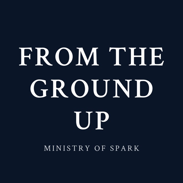 Cover of FROM THE GROUND UP