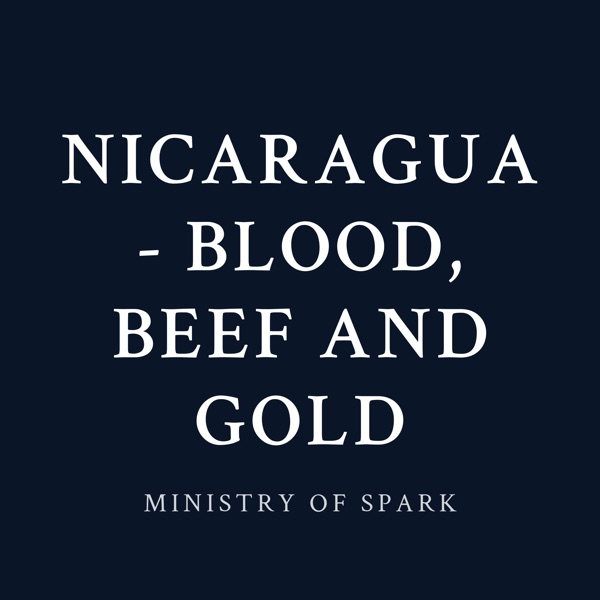 Cover of NICARAGUA - BLOOD, BEEF AND GOLD