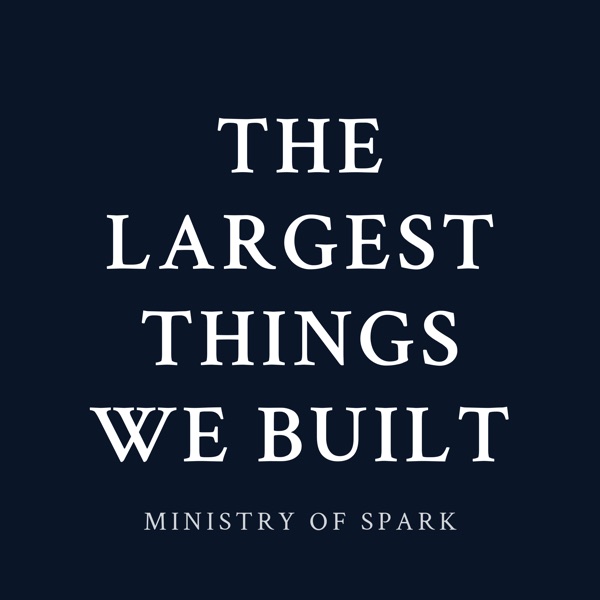 Cover of THE LARGEST THINGS WE BUILT