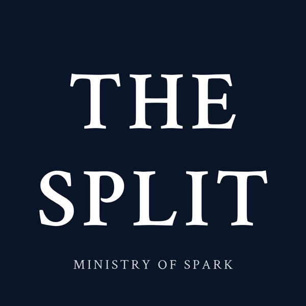 Cover of THE SPLIT
