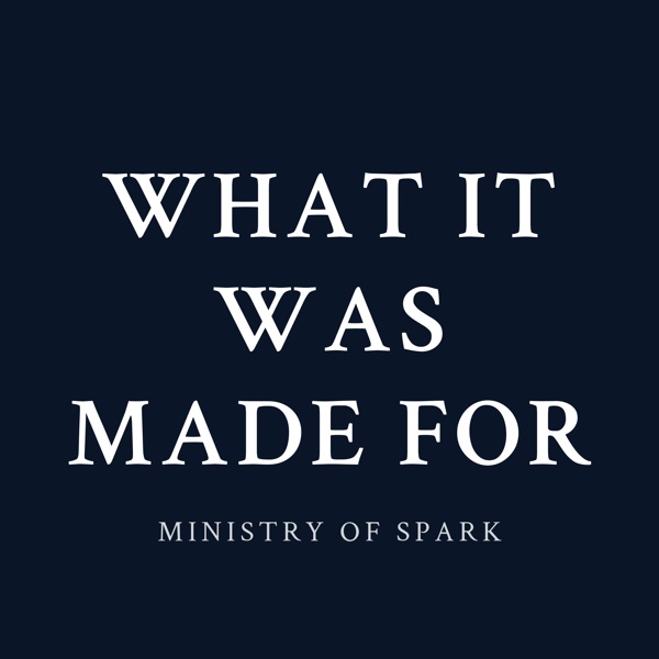 Cover of WHAT IT WAS MADE FOR