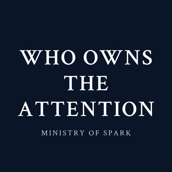 Cover of WHO OWNS THE ATTENTION